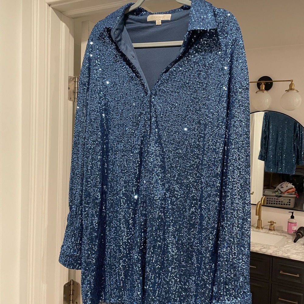 Anthropologie Pilcro Blue Sequin Button-Down Oversized Shirt